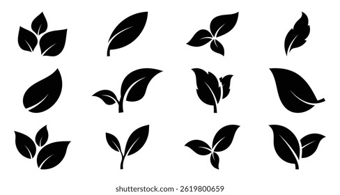 Simple green leaf vector icons, isolated on white background. Leaves with stylized branches, perfect for eco symbols, organic clip art, label designs. Vector illustration.