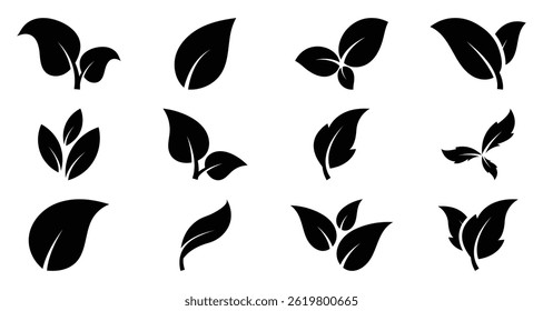 Simple green leaf vector icons, isolated on white background. Leaves with stylized branches, perfect for eco symbols, organic clip art, label designs. Vector illustration.
