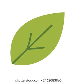 Simple green leaf vector illustration, nature graphic elements