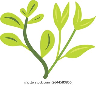 Simple green leafy branch with fresh leaves, perfect for botanical illustration, organic design, garden decoration, nature elements, eco-friendly visuals, and spring-themed natural artwork.