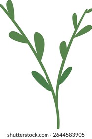 Simple green leafy stem with delicate branches, perfect for botanical illustrations, organic design elements, garden decoration, nature visuals, eco-friendly artwork, and spring natural graphics.