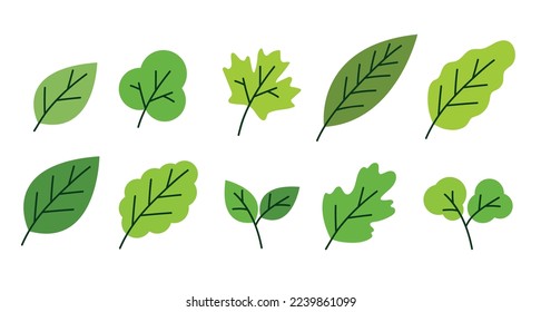 simple green leaves elements vector illustration