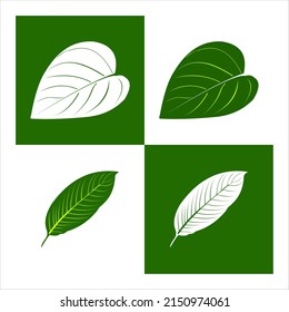 simple green leaves natural decoration element