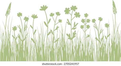 Simple green nature border featuring wild grass and various wildflowers, ideal for spring design projects and more.