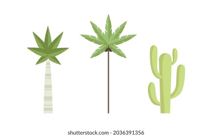 Simple Green Palm and Cactus as Flora and Environment Element Vector Set