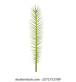 Simple green palm leaf illustration with a slender, elongated shape and detailed fronds. Perfect for tropical themes, botanical projects, and decorative designs