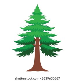 Simple Green Pine Tree Illustration on White