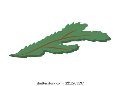 Einfach grüner Fichtenzweig. Vektorgrafik