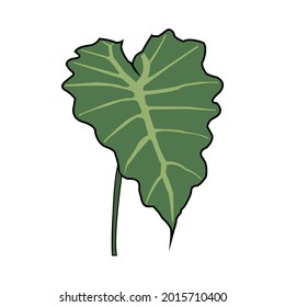 Dibujo vectorial de hoja de taro verde simple