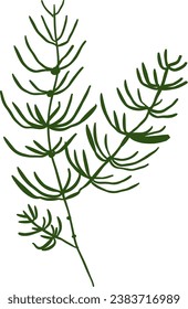 A simple green twig. Illustration for design, pattern, cards. Element, icon. Sprig of ivy.