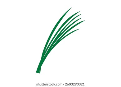 Simple green vector leek illustration