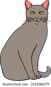 Simple grey sitting cat. Pet kitten. vector illustration