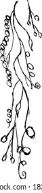 Simple grunge hand-drawn clipart of climbing plant stem. Floral vector decor element for postcards or pattern