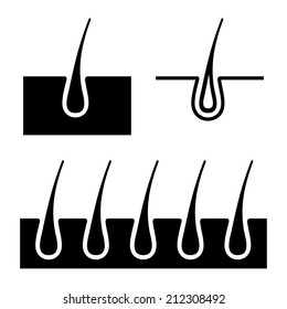 Simple Hair Follicle Icons Set. Vector Illustration