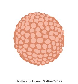 Simple hand draw coral cartoon islolated on white background. coral for marine decoration
