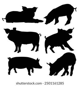 Simple hand drawing silhouettes of several pigs in various poses stand out or Pig breeds collection. Farm animals set. Black silhouette flat design. Vector illustration