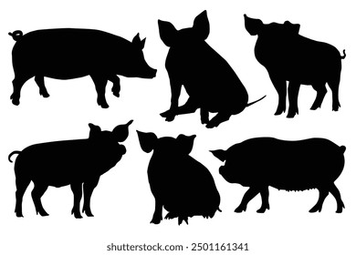 Simple hand drawing silhouettes of several pigs in various poses stand out or Pig breeds collection. Farm animals set. Black silhouette flat design. Vector illustration