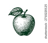Simple hand drawn apple icon sketch, engraved fruit food illustration.