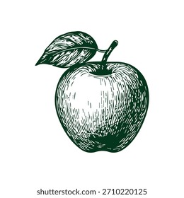 Dibujado a mano simple boceto de icono de manzana, ilustración de comida de fruta grabada.
