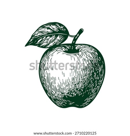 Simple hand drawn apple icon sketch, engraved fruit food illustration.