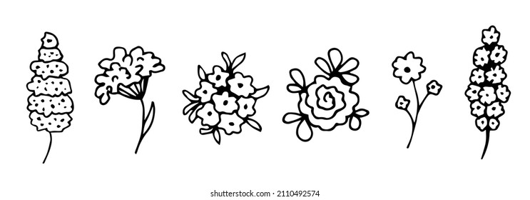 Simple hand drawn black outline vector illustration. Set of different wild flowers, floral elements, nature. Ink sketch.