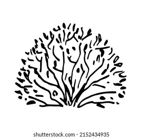 Simple hand drawn black outline vector illustration. Lush bush isolated on white background. Ink sketch. Garden plants, vegetation. Nature. Landscape element.