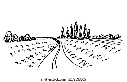 Simple hand drawn black outline vector drawing. Ink sketch. Country road in the field. Farm plantations, cypress trees on the horizon. Nature, landscape. Growing organic plants.