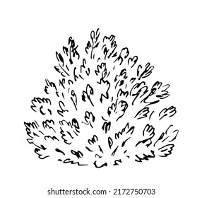 Simple hand drawn black outline vector drawing. Lush bush, vegetation, hedge. Deciduous plants, tree. Sketch in ink. Landscape design element, nature.