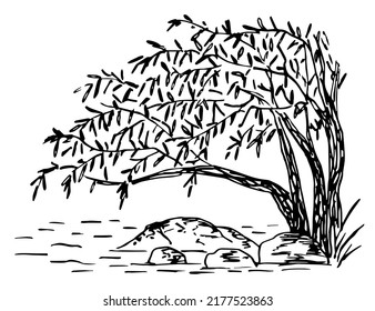 Simple Hand Drawn Black Outline Vector Drawing. Weeping Willow Bent Over The Water, River Bank, Stones. Wild Lake. Landscape And Nature. Sketch In Ink.