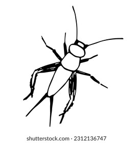 Simple hand drawn black outline vector illustration. Domestic cricket, insect. Sketch in ink.