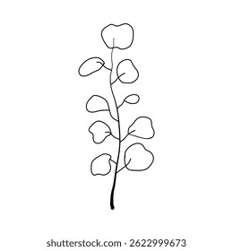 Einfache handgezeichnete schwarze Umrisse des Eukalyptuszweiges. Botanisches Gestaltungselement. Vektor.