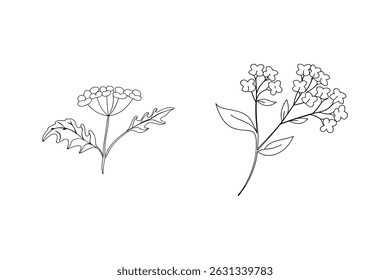 Simple hand drawn black and white floral arrangements on a clean white background