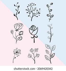 vector simple de flores botánicas dibujadas a mano