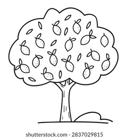 A simple hand drawn coloring page style illustration featuring a lemon tree laden with lemons on a white background