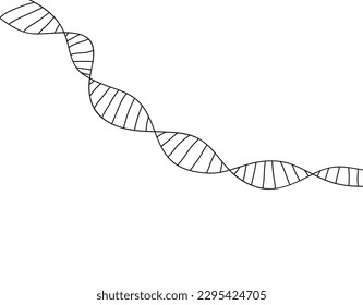 Forma simple de estructura de ADN dibujada a mano para el tema médico