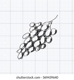 Simple hand drawn doodle of a bunch of grapes