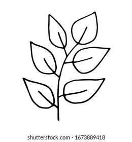 Simple hand  drawn doodle. leaves silhouette vector set for coloring book. Black thick stroke. vector illustration isolated on white background.