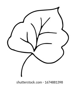 Simple hand  drawn doodle. leaves silhouette vector set for coloring book. Black thick stroke. vector illustration isolated on white background.