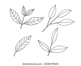 Simple hand drawn doodle Leaves silhouette vector for coloring book. vector illustration