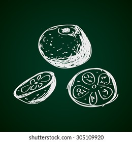 Simple hand drawn doodle of an orange