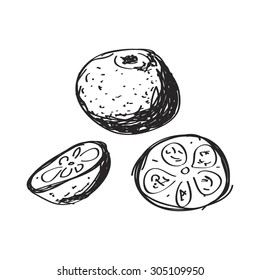 Simple hand drawn doodle of an orange