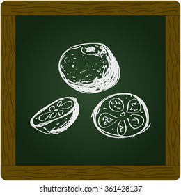 Simple hand drawn doodle of an orange