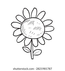 A simple hand drawn doodle sketch of a sunflower or daisy with a round center and many petals on a stem with two leaves.