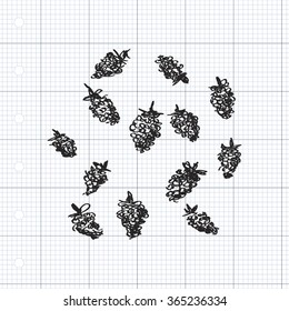 Simple hand drawn doodle of some raspberries
