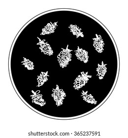 Simple hand drawn doodle of some raspberries