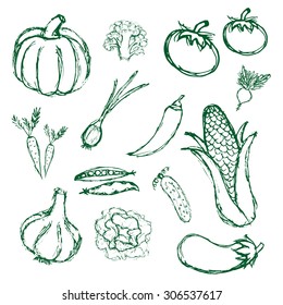 simple hand drawn doodle vegetables icons eps10