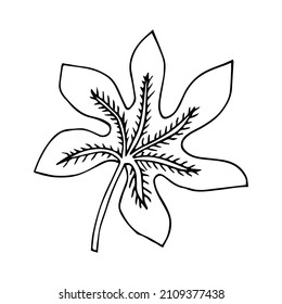 Simple hand drawn doodles. tropical leaves silhouette vector. Hand drawn silhouette palm leaf icon on white background. Cartoon sketch element: greenery Arecaceae, Palmae Palm Leave