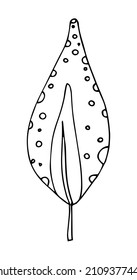 Einfache handgezeichnete Doodles. tropische Blätter Silhouette Vektor. Handgezeichnete Silhouettenpalmenblatt-Symbol auf weißem Hintergrund. Cartoon Sketch Element: Grüne Arecaceae, Palmenweg