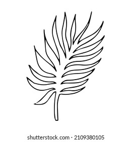 Doodles dibujados a mano. vector de silueta de hojas tropicales. Icono dibujado a mano de la hoja de silueta de palma sobre fondo blanco. Esbozo de dibujos animados: verde Arecaceae, Palmae Palm Leave
