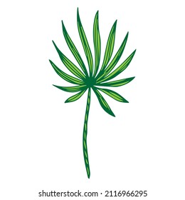 Simple hand drawn doodles. tropical leaves silhouette vector. Hand drawn silhouette palm leaf icon on white background. Cartoon sketch element: greenery Arecaceae, Palmae Palm Leave